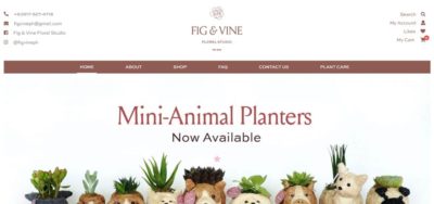 FIG & VINE Website