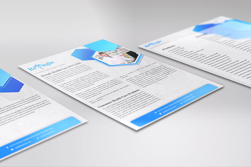 A close-up shot of multiple Bringle Health Care company profile documents arranged diagonally on a light gray surface, featuring blue branding and product lists.