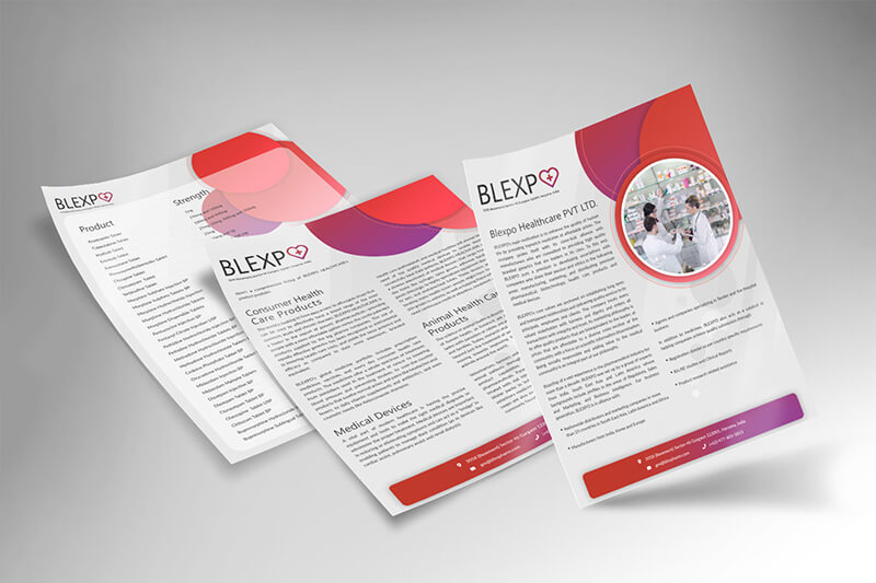 Three printed company profile sheets for Blexpo Healthcare lie fanned out on a gray surface, displaying product lists, company overviews, and branding elements in white, red, and purple.