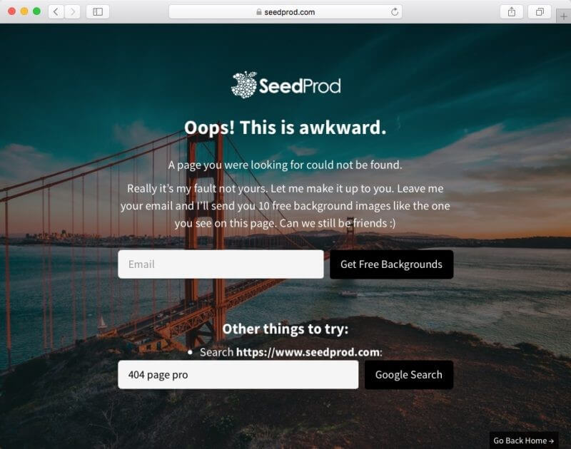 A SeedProd custom 404 error page displayed inside a browser window, featuring a scenic bridge background, an apology message, an email opt-in form for free backgrounds, and a search bar.